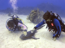 129 Petting Mrs. Fin IMG 6115